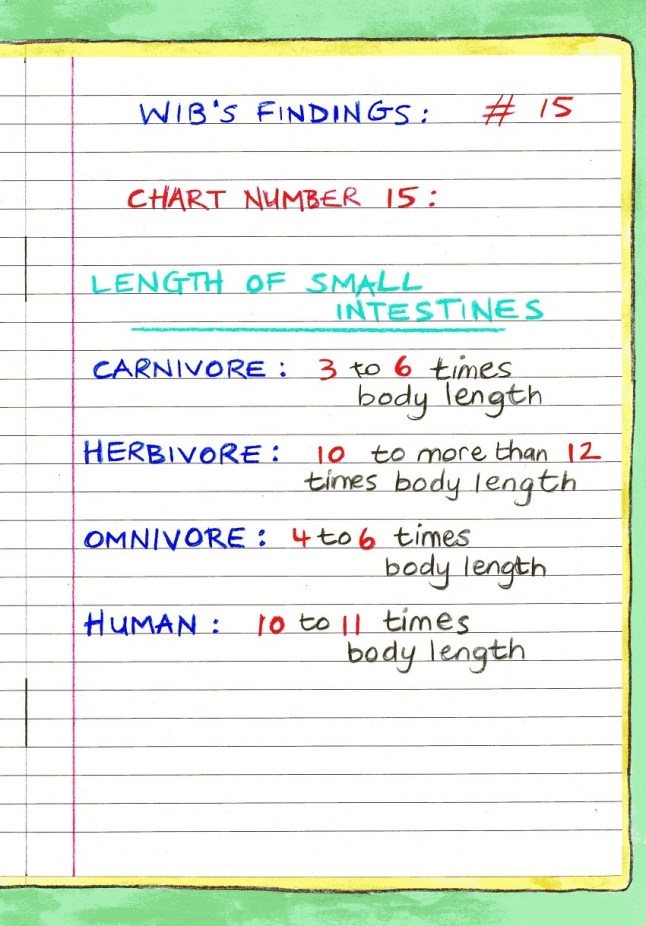 vegan children's book