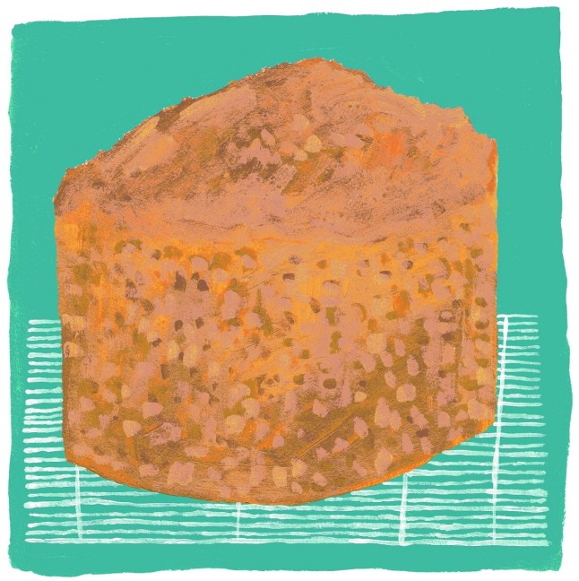 vegan children's story