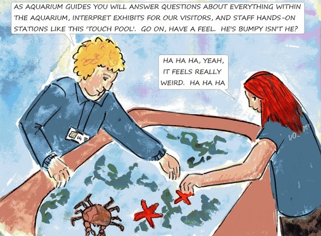 aquarium touch pools