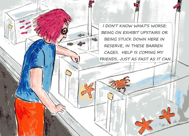 vegan children's story