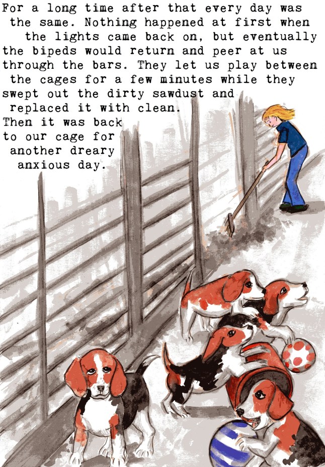 anti vivisection story
