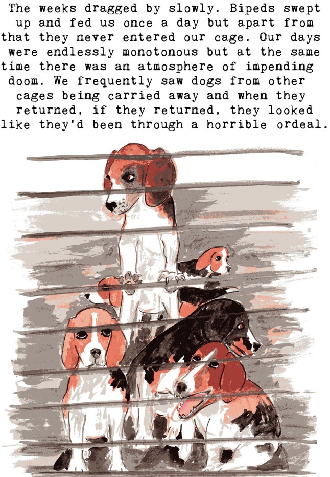 anti vivisection story