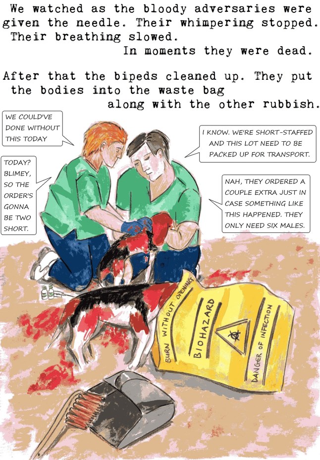 anti vivisection story