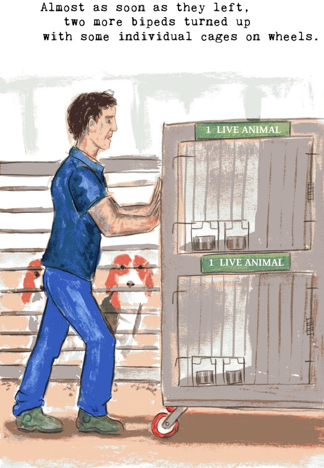 anti vivisection story