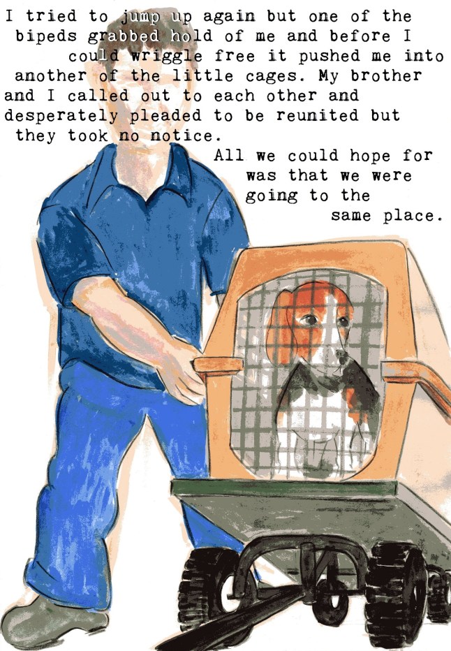 anti vivisection story