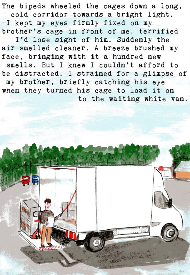 anti vivisection story