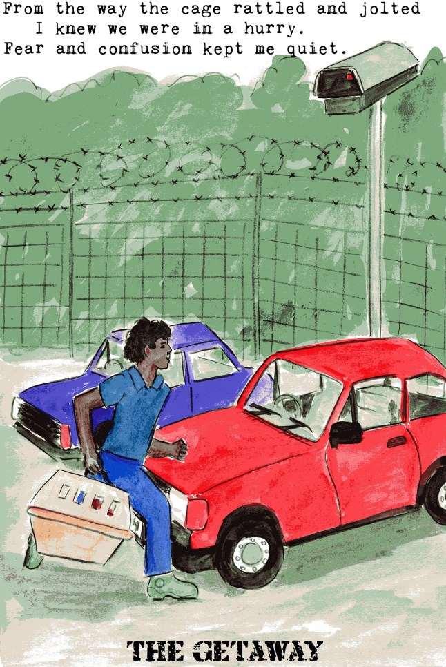 anti vivisection story