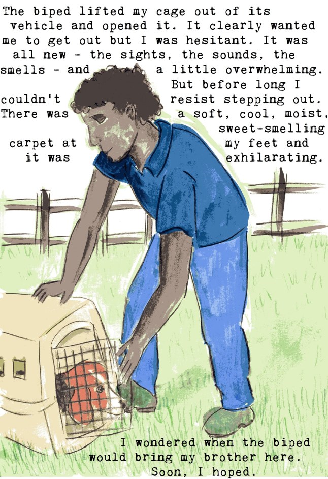 anti vivisection story