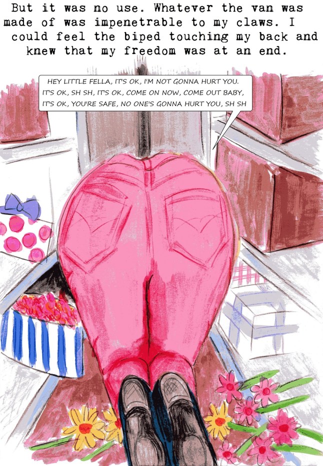 anti vivisection story