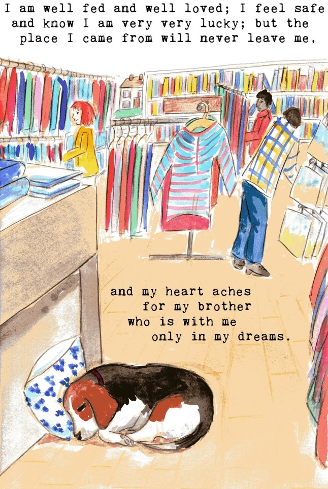 anti vivisection story