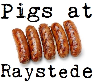 pigs at Raystede