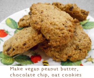 vegan peanut butter, chocolate chip, oat cookies