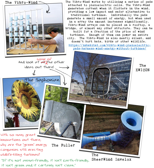 vegan renewable energy