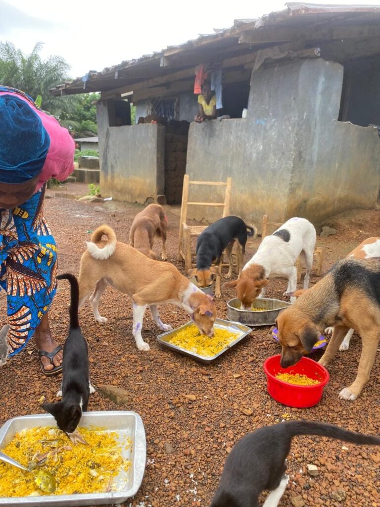 Liberia Animal Welfare and Conservation Society