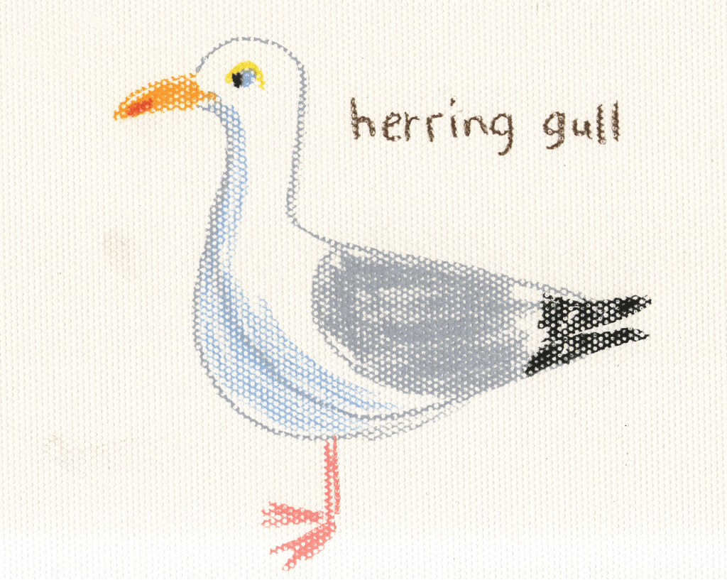 Link to Herring Gull poem