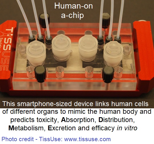 human-on-a-chip mimics the human body in medical research without animals.