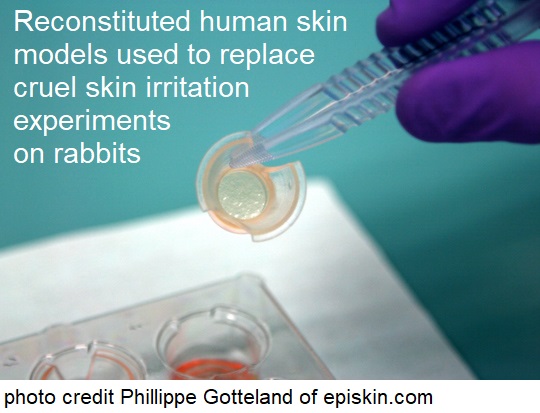 reconstituted human skin replaces cruel animal tests for skin irritation