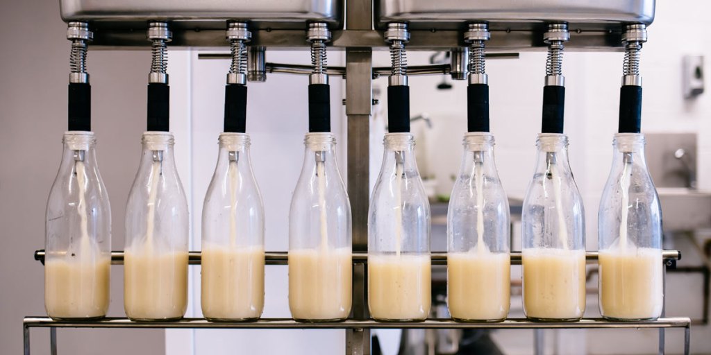 ReRooted plant milk in refillable glass bottles